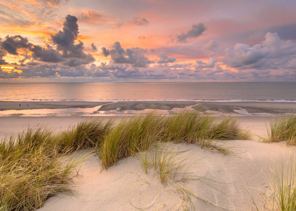 duinen-van-texel