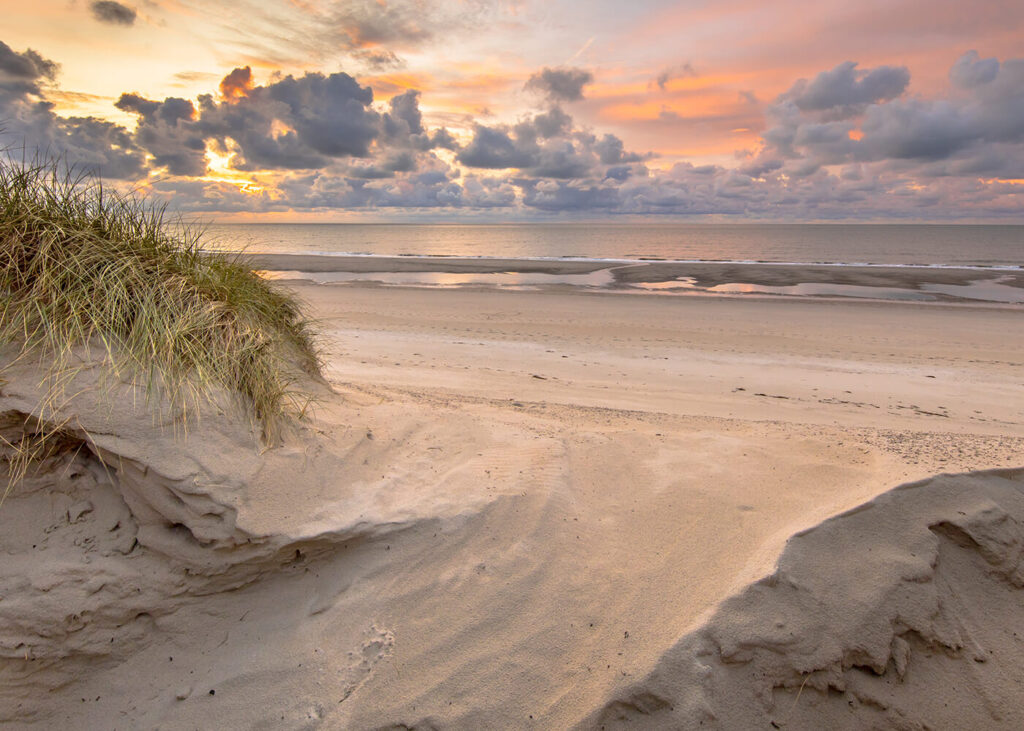 strand-texel